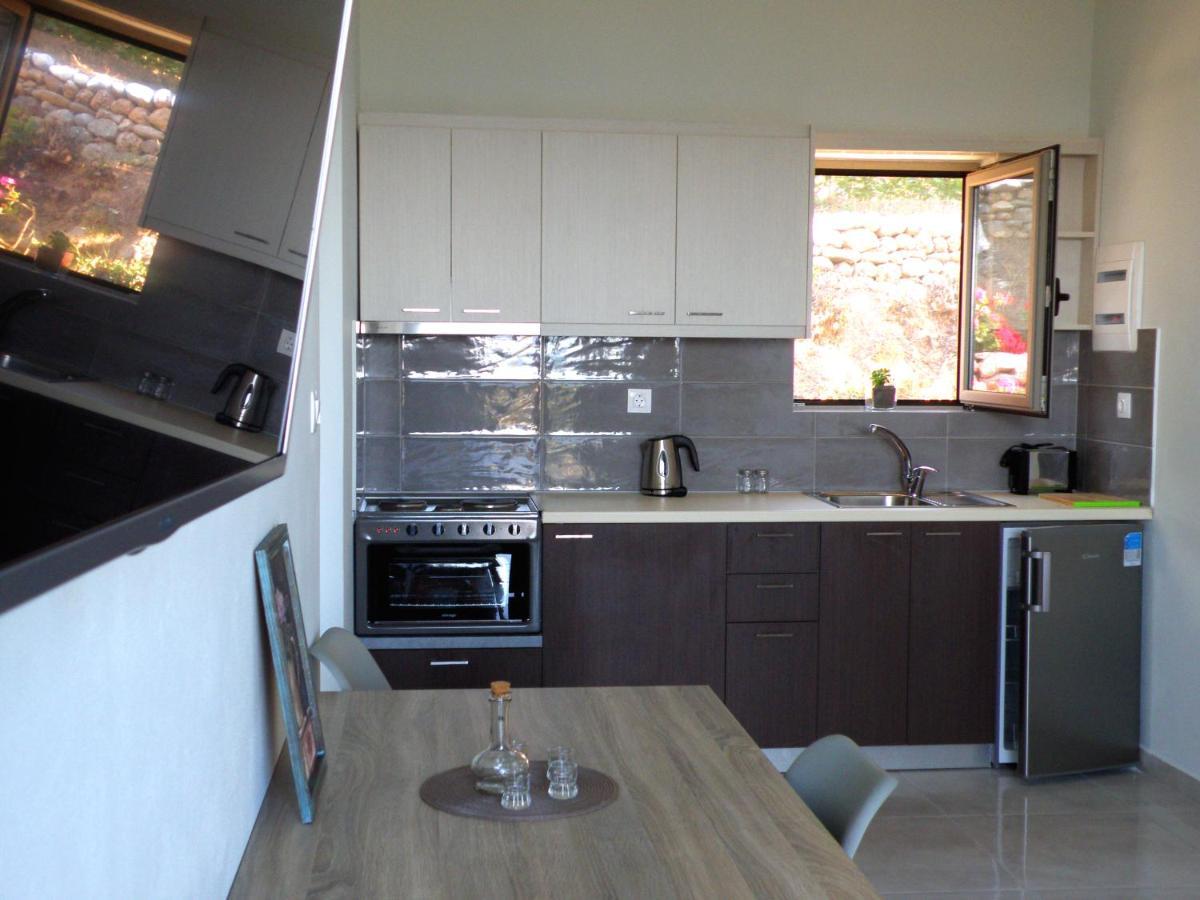 Galini Apartment'S-Suites Skaloti Екстериор снимка